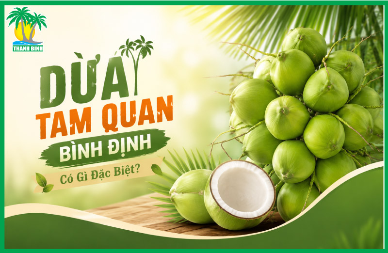 ĐIỀU GÌ TẠO NÊN SỰ KHÁC BIỆT CỦA DỪA TAM QUAN BÌNH ĐỊNH?